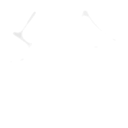 n = 8