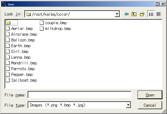 file dialog