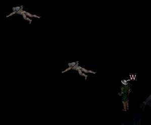 洋平バタフライ