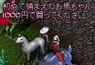 初めての…