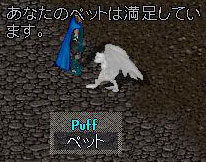 �p�t