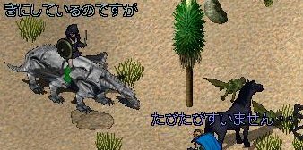 いなーい!!